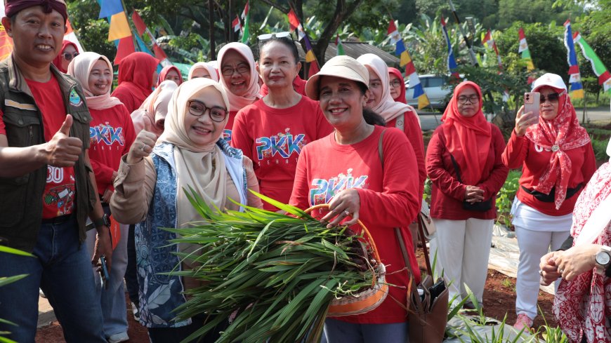 Pada Kunjungan Urban Farming Bekasi Keren Wiwiek Bersama Warga Panen Bawang