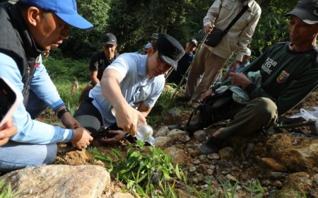 Bupati Egi Terjang Medan Ekstrem Gunung Rajabasa Demi Cegah Longsor Susulan